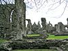 Neath abbey.JPG