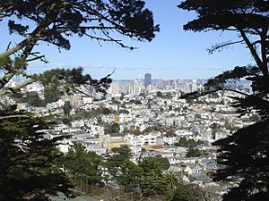 Noe Valley in 2013