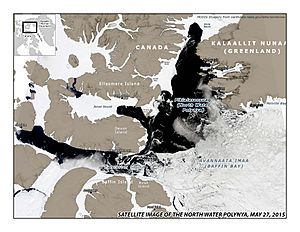 North Water MODIS 2015-05-27