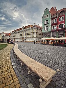 Palatul Baroc - Timisoara