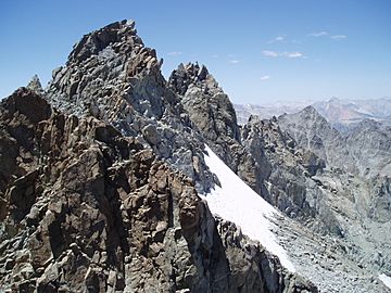 Palisade Crest.jpg