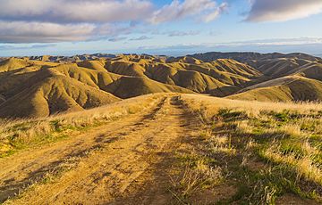 Panoche Hills (51063183308).jpg