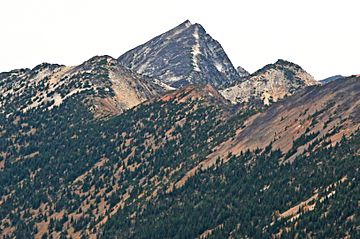 Pasayten Peak.jpg