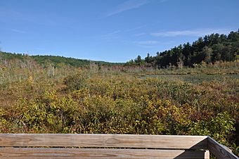 PeoplesStateForest BeaverBrookMeadow3.jpg