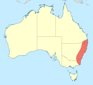 Petalura gigantea distribution map.svg