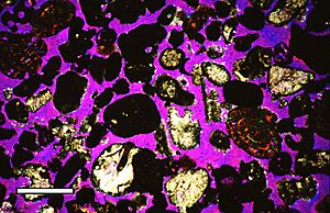 Porosity thin section GP