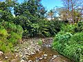 Quebrada Anones, Naranjito, Puerto Rico