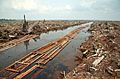 Riau deforestation 2006