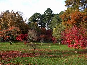 Roath Park, Cardiff, Wales