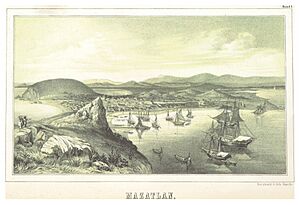 SEEMANN(1858) - MAZATLAN, MEXICO