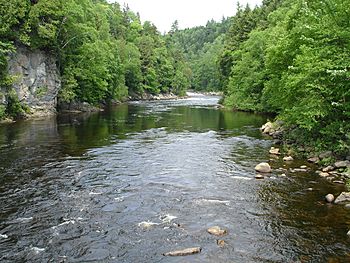 Saint-Anne-du-Nord River.jpg