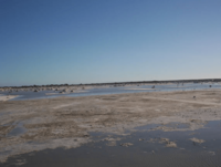 Salt of Manaure, La Guajira - Colombia