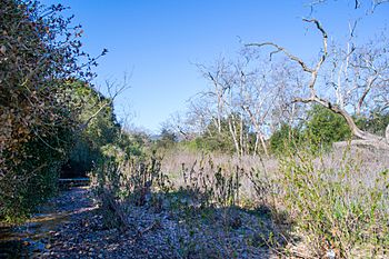 San Clemente Canyon