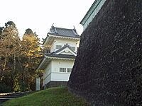 SendaiJoOtemonSumiYagura2003-11