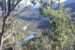 Snowy River from McKillops Road.jpg