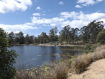 Spring Lake Springfield Lakes.jpg