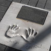 Tantoo Cardinal HandPrint Edmonton