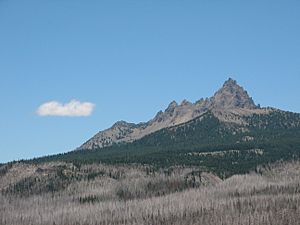 Three-fingered Jack