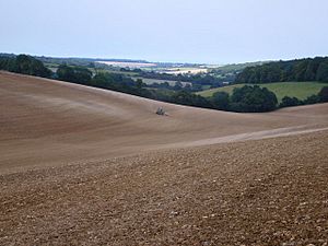 Tractor in Valley at Bavinge Farm - geograph.org.uk - 612293