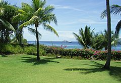 Tropical-area-mactan-philippines