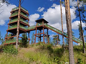 Tuomastornit observation towers