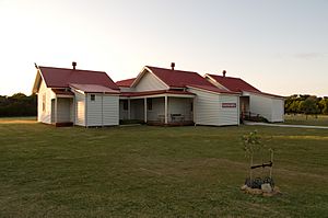 Woodman pt QS gnangarra-2001.jpg