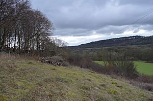 Wormsley Chalk Banks 6.JPG