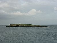 Ynys Moelfre - geograph.org.uk - 8360